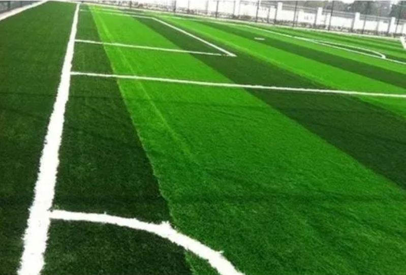 �˶�������