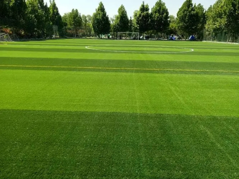 �˶�������