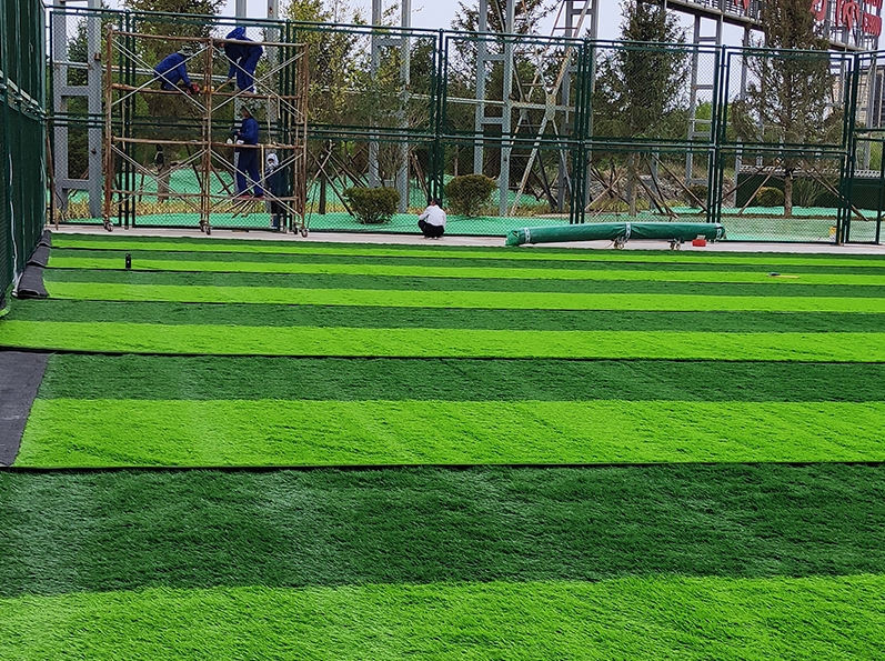 �˶�������