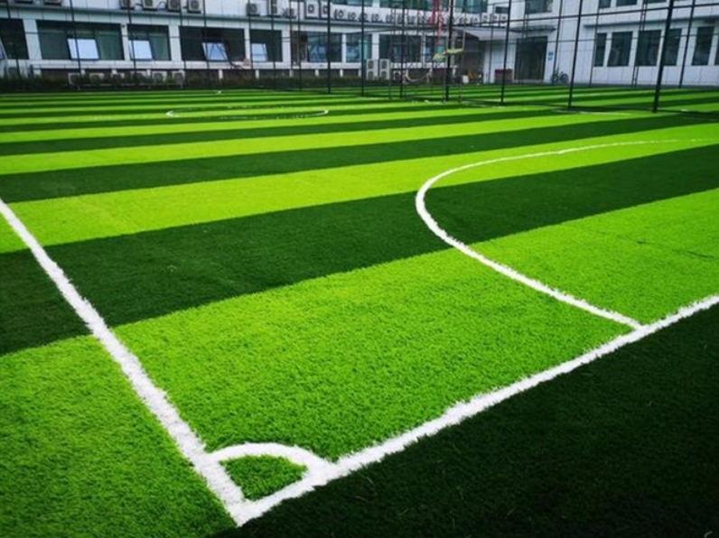 �˶�������