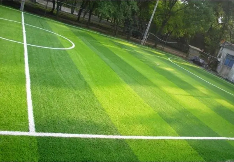 �˶�������